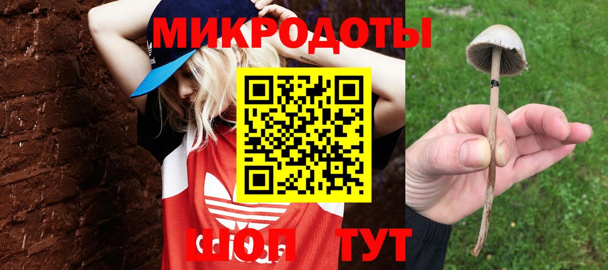 Галлюциногенные грибы GOLDEN TEACHER Чита